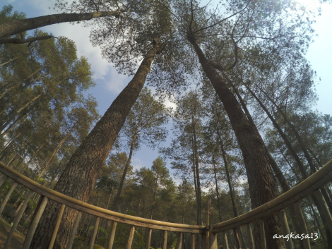 wpid-img_20151105_221144