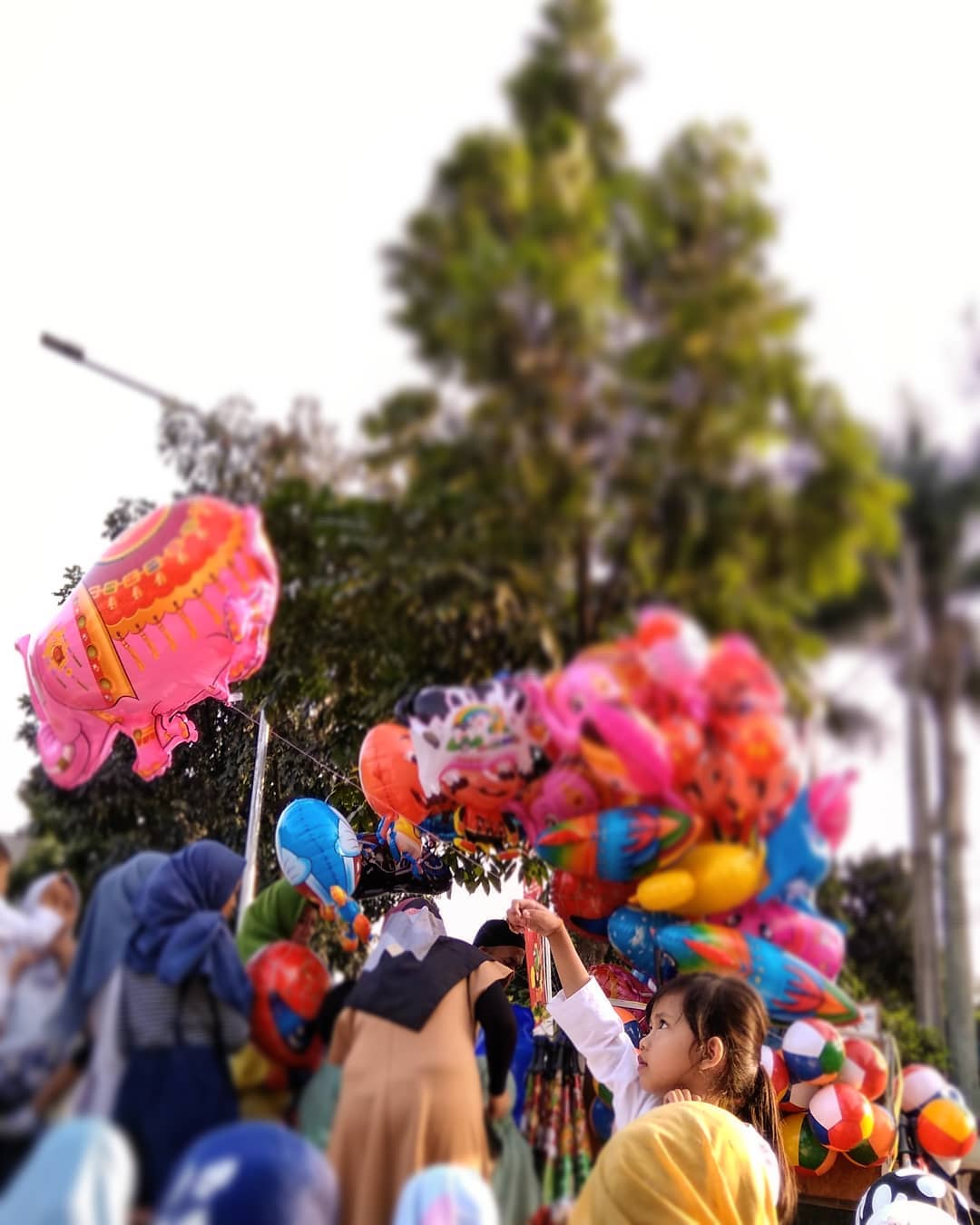 34096470_2144744118873711_7030285169135190016_n(1)