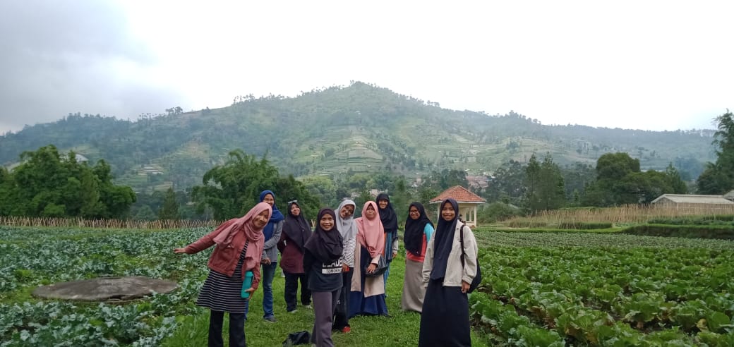 d55d0fc7-3ee3-45b8-8cfb-5de898ce5fb0