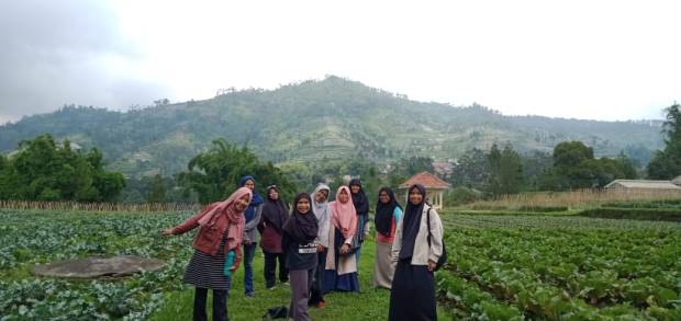 d55d0fc7-3ee3-45b8-8cfb-5de898ce5fb0